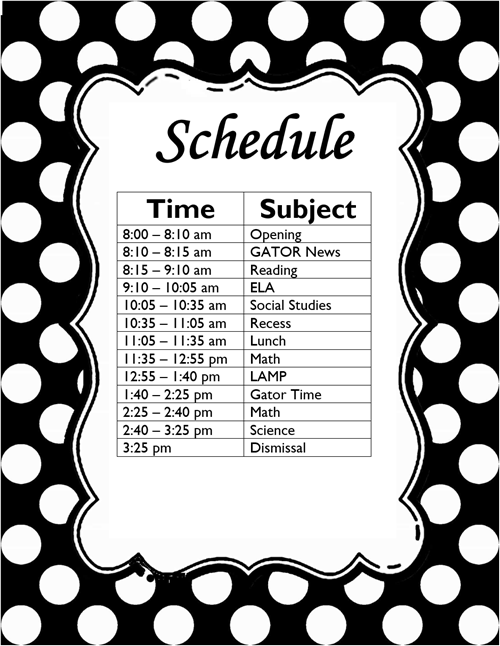 Daily Schedule